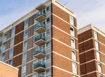 L'essentiel du diagnostic termites